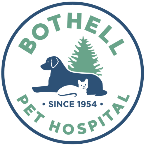 Bothell Pet Hospital