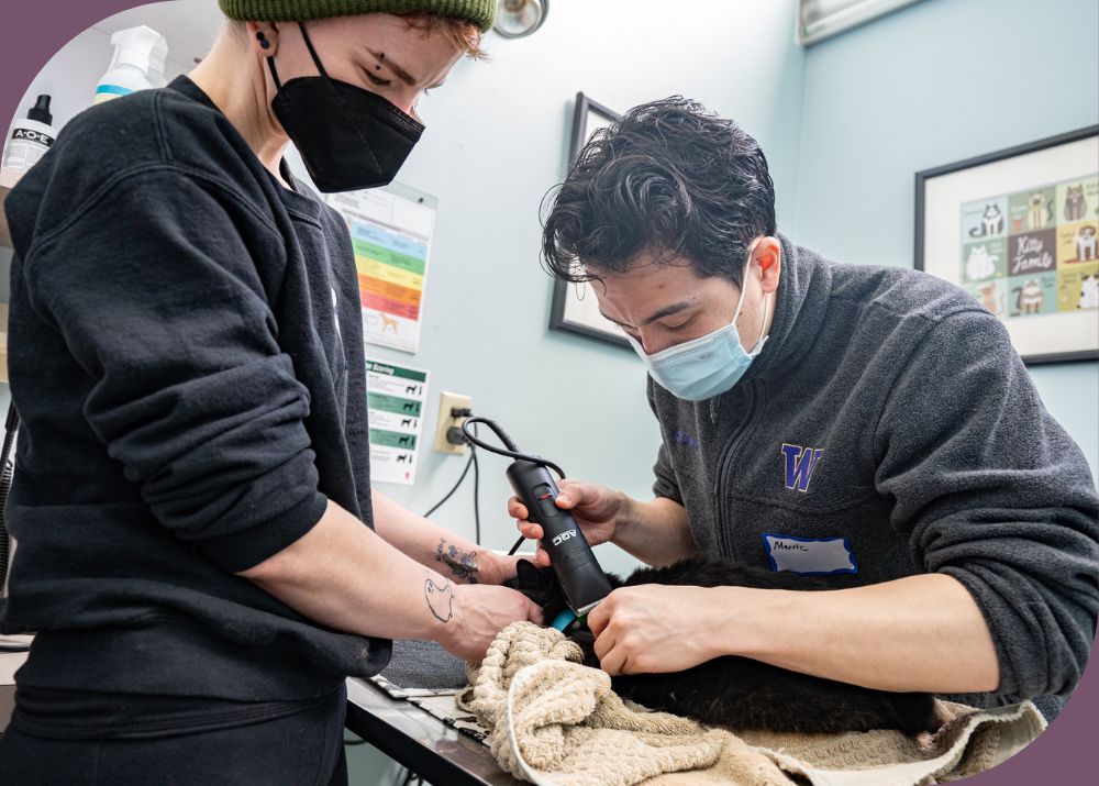 Veterinary Roots is hiring veterinary assistants! Veterinary Roots is hiring veterinary assistants!