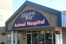 Elliott Bay Animal Hospital, a Veterinary Roots Facility