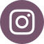 Follow Veterinary Roots on Instagram