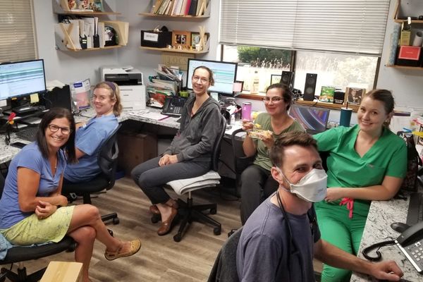 Career Opportunities at Veterinary Roots