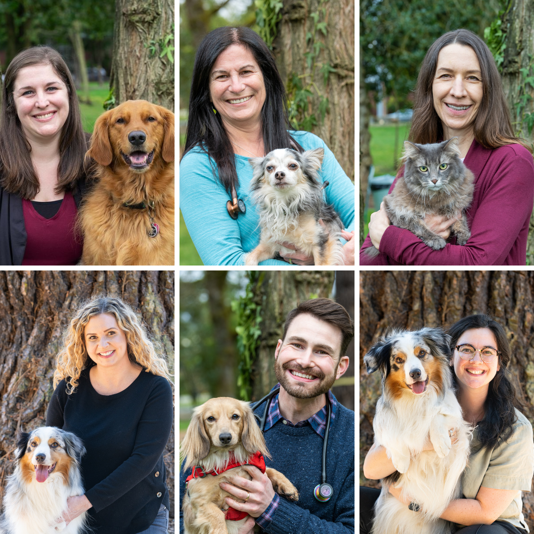 Bothell Pet Hospital