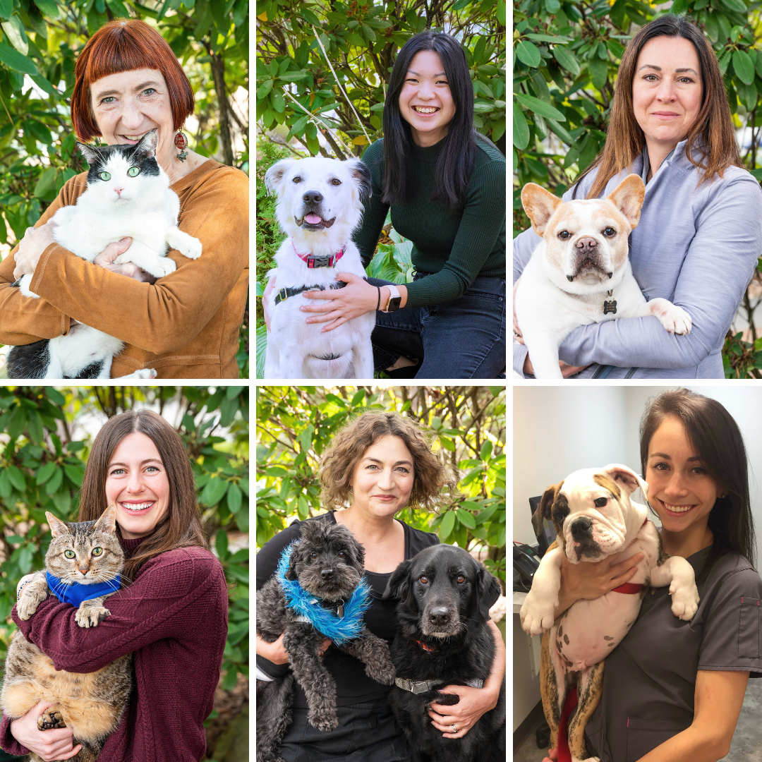 Elliott Bay Animal Hospital Team
