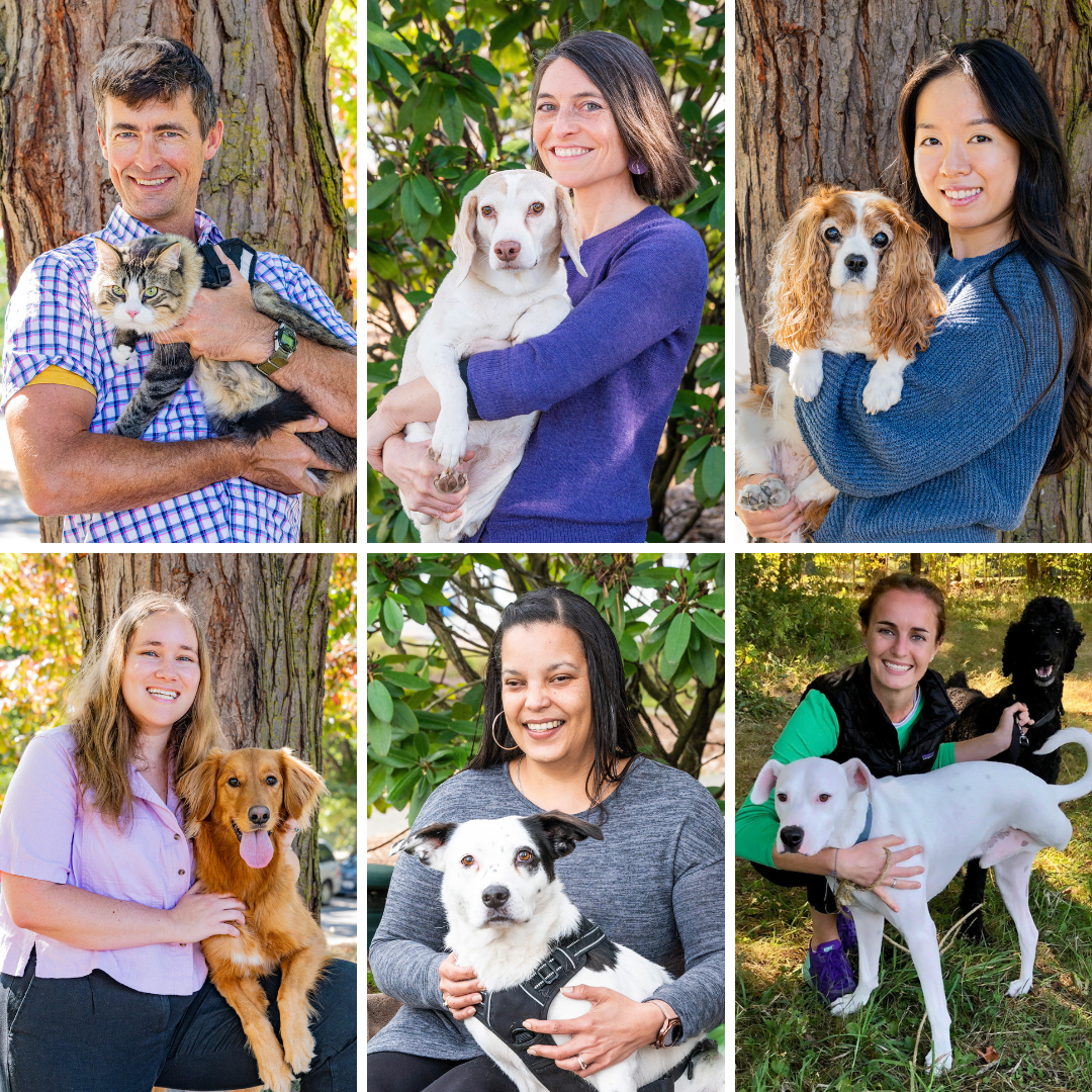 Rainier Veterinary Hospital Team