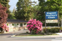 Firgrove Veterinary Clinic, a Veterinary Roots Hospital
